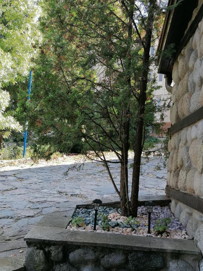 Petkov Family Hotel بلاغويفغراد المظهر الخارجي الصورة